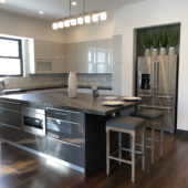 1294. New Tarzana Contemporary